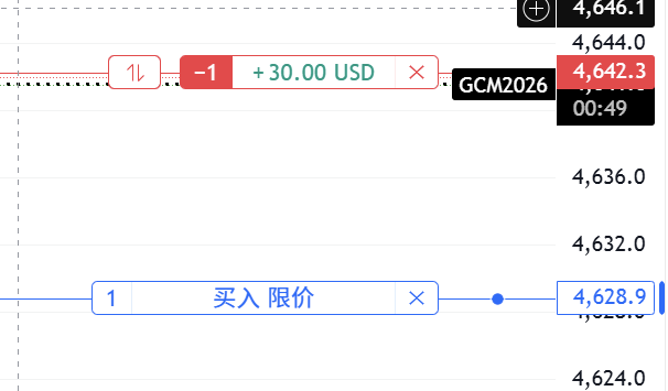 Original Tradovate order line
